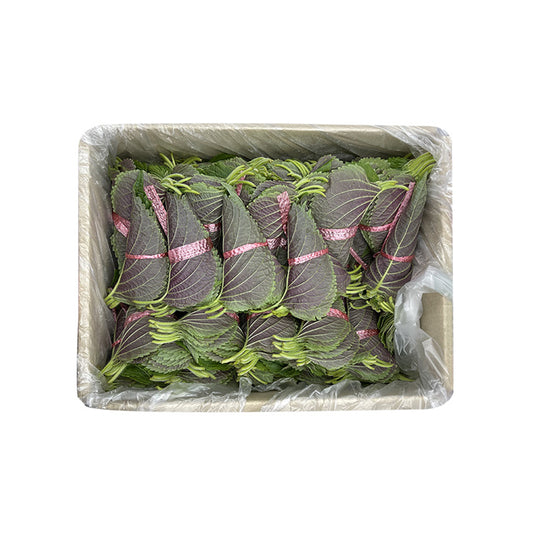 SESAME LEAF CASE