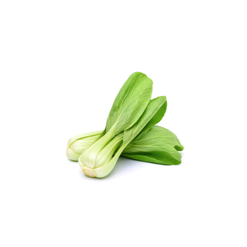 P-BOKCHOY YUCHOY 유초이T O