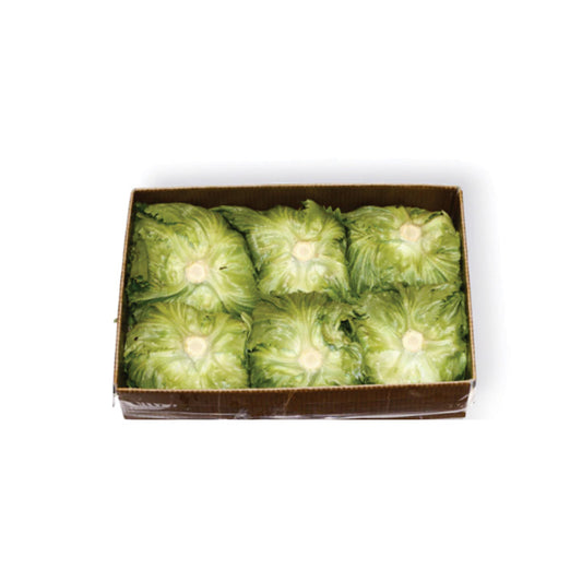 GREEN LEAF LETTUCE