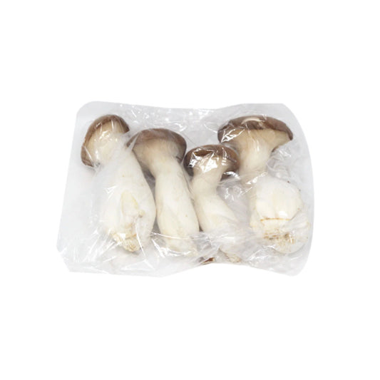 KING OYSTER MUSHROOM