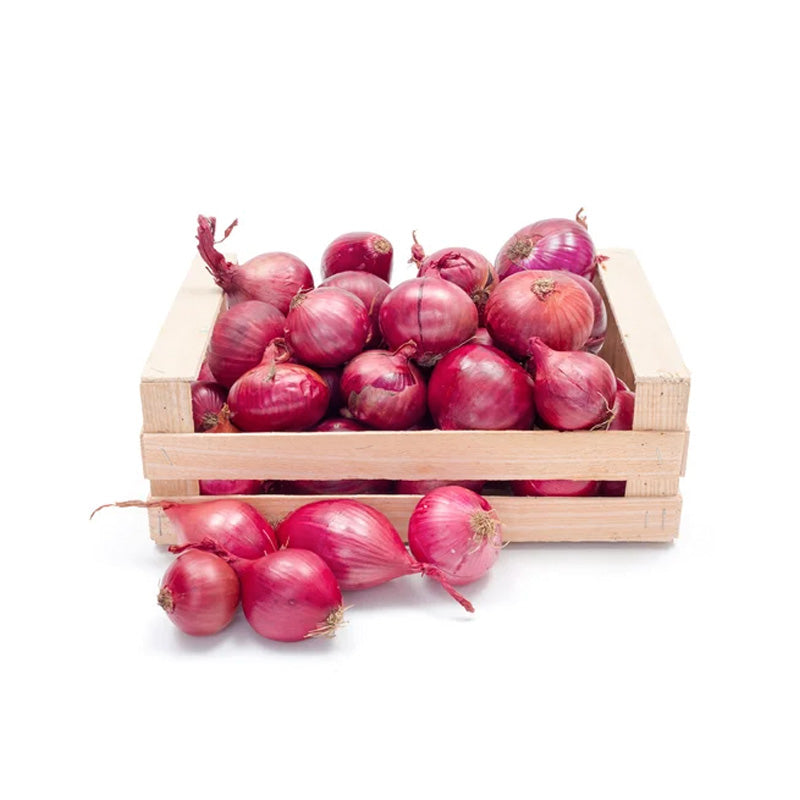 RED ONION
