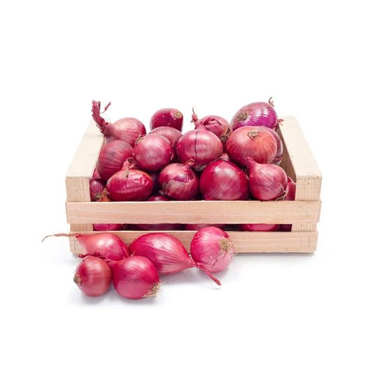RED ONION