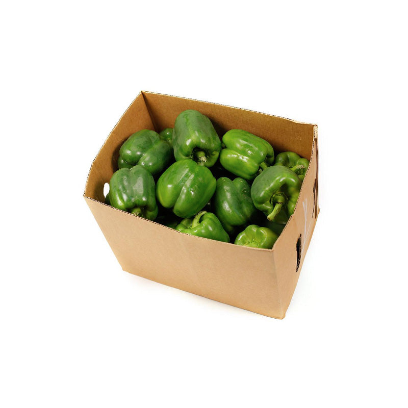 GREEN PEPPER ~ 5 LB BAG