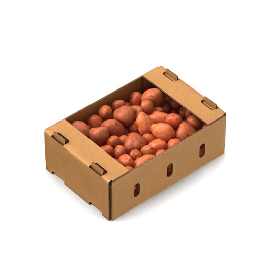 RED POTATO