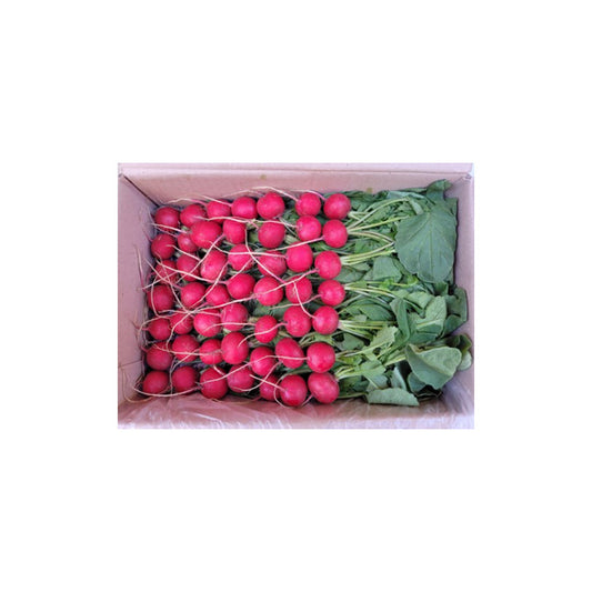 RED RADISH