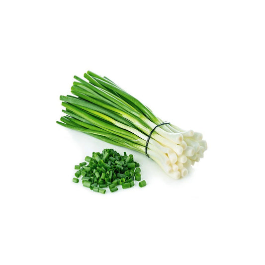 ICELESS SCALLION