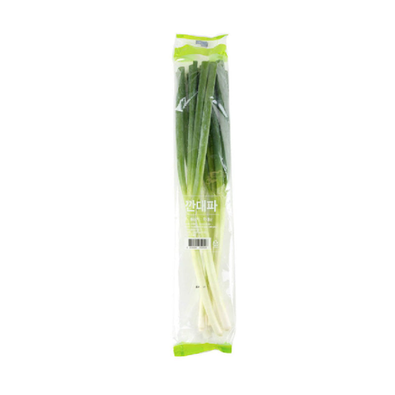 LARGE SCALLION