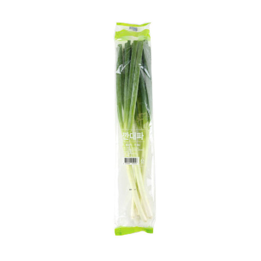 LARGE SCALLION
