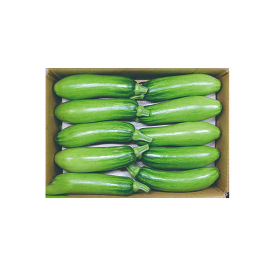KOREAN SQUASH